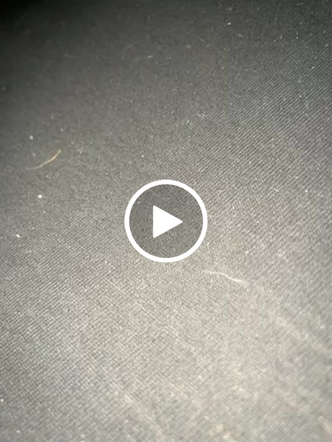 Customer video review of 8 ARMS TREE PERC GLASS ASH CATCHER