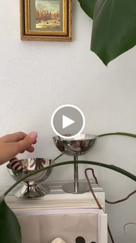 Customer video review of Billy Dish | Short