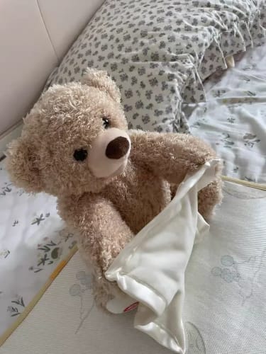 Customer photo review of FreddyTeddy - endloser Spielspaß und strahlende Kinderaugen
