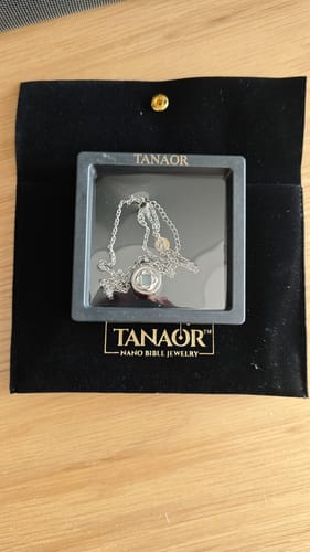 Customer photo review of The Infinity Star Necklace