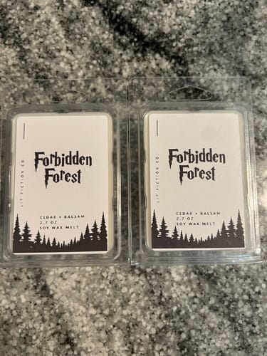 Customer photo review of Bookish Wax Melts