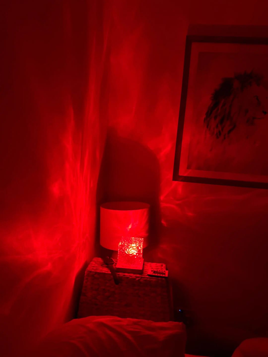 Customer photo review of Projecteur Ondes Aquatiques