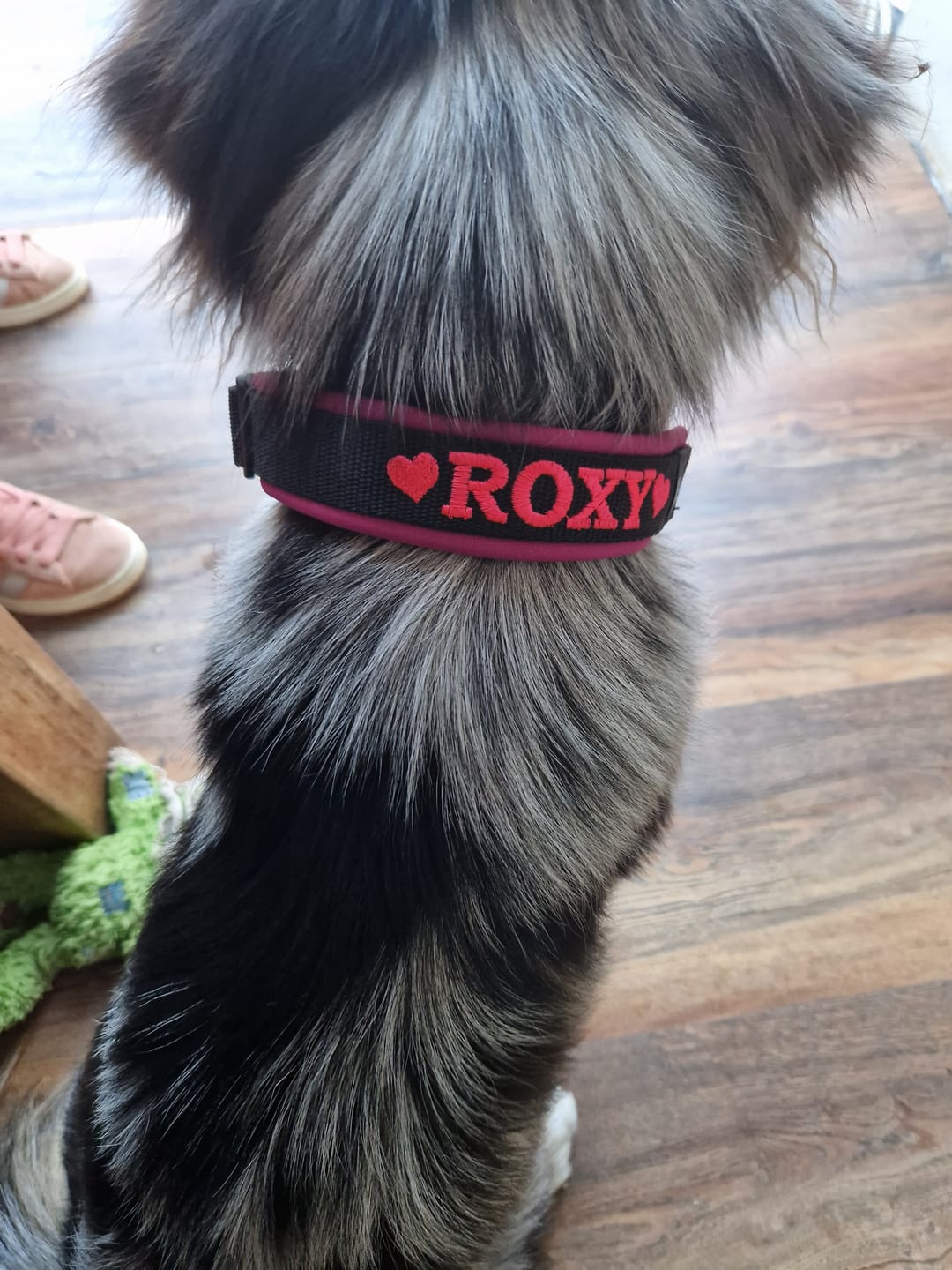 Customer photo review of Neoprene Half-Check Dog Collar with Name - M | 4Kyon