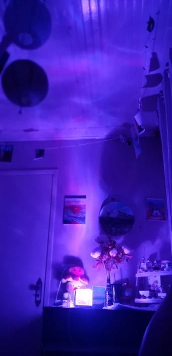 Customer photo review of Projecteur Ondes Aquatiques