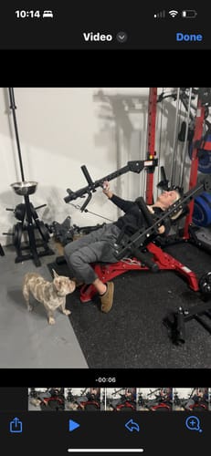 Customer photo review of Major Fitness Lever Arms