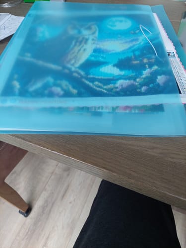 Customer photo review of Diamond Painting Opbergmap A3/A2
