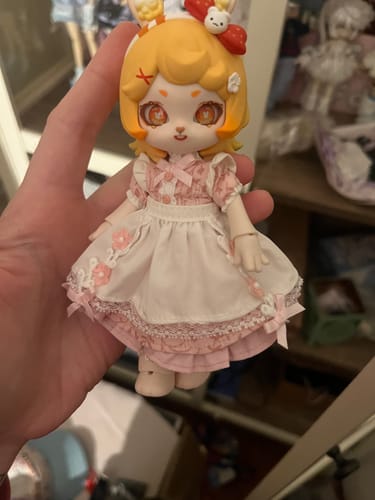 Customer photo review of Fantasy Forest 1/12 BJD Special Color Limited Clothing Set