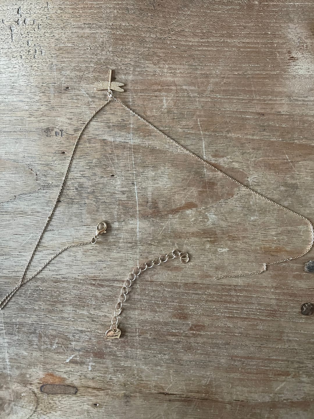 Customer photo review of Dragonfly Necklace