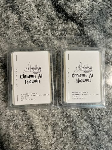 Customer photo review of Bookish Wax Melts