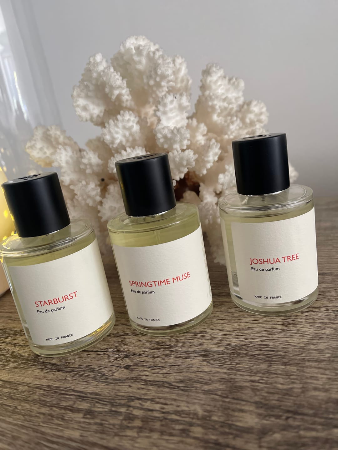 Customer photo review of Springtime Muse