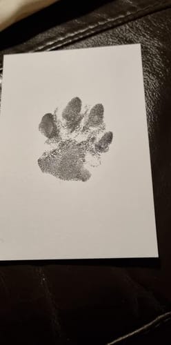Customer photo review of TinyPad - Kostbare Momente ohne Rückstände!