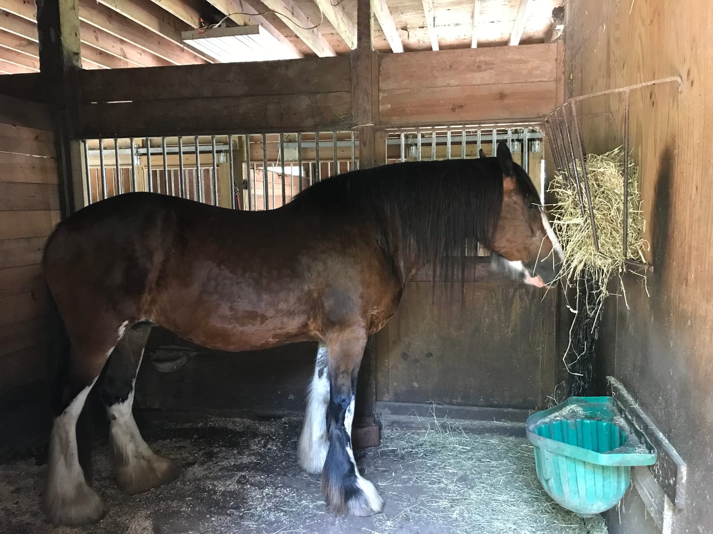 Customer photo review of Stable Fresh 64 ounce Concentrate- 6 Pack