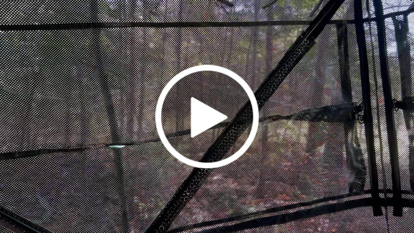 Customer video review of Heated Hunting Chair Adjustable Height 360° Swivel Blind Chair