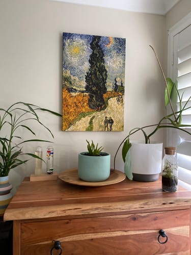 Customer photo review of Road with Cypress and Star, 1890 by Van Gogh