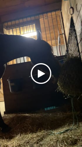 Customer video review of Hay Chix® Half Bale Net