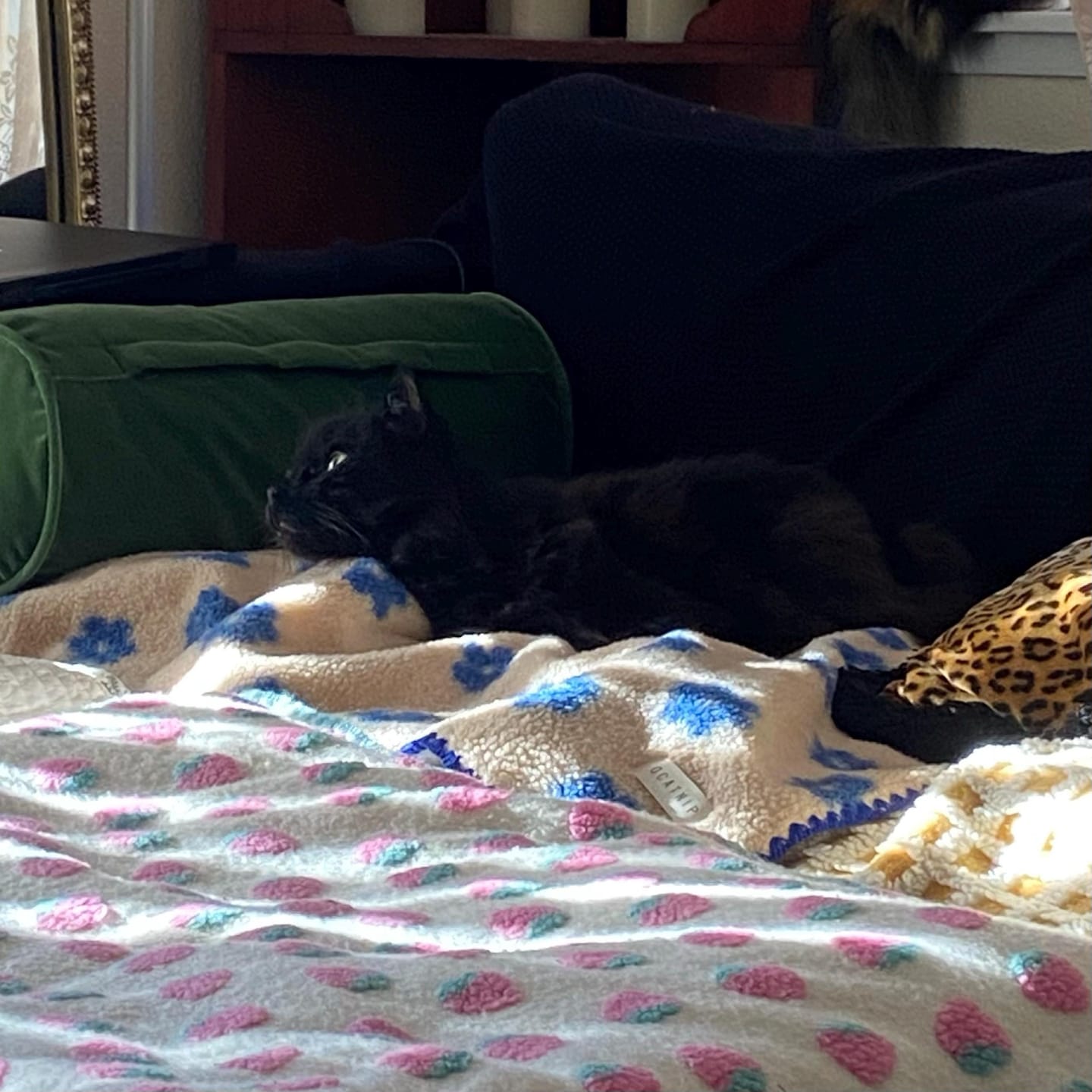 Customer photo review of Little Summer Blanket