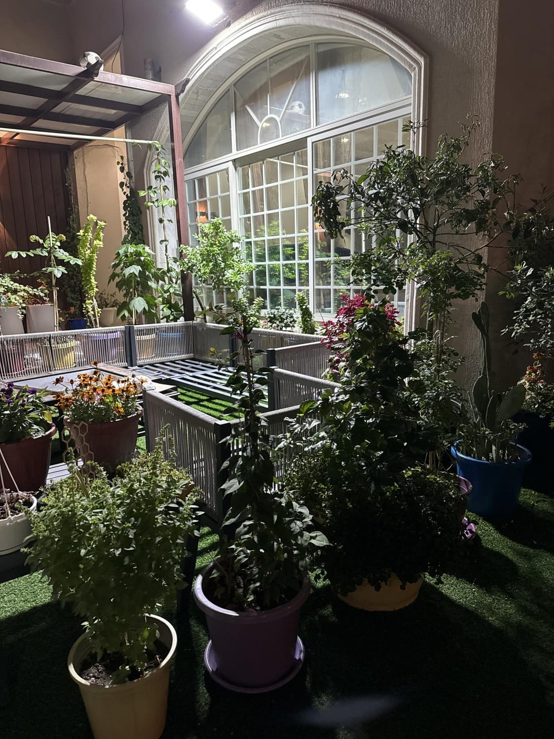 Customer photo review of Potting Soil Mix