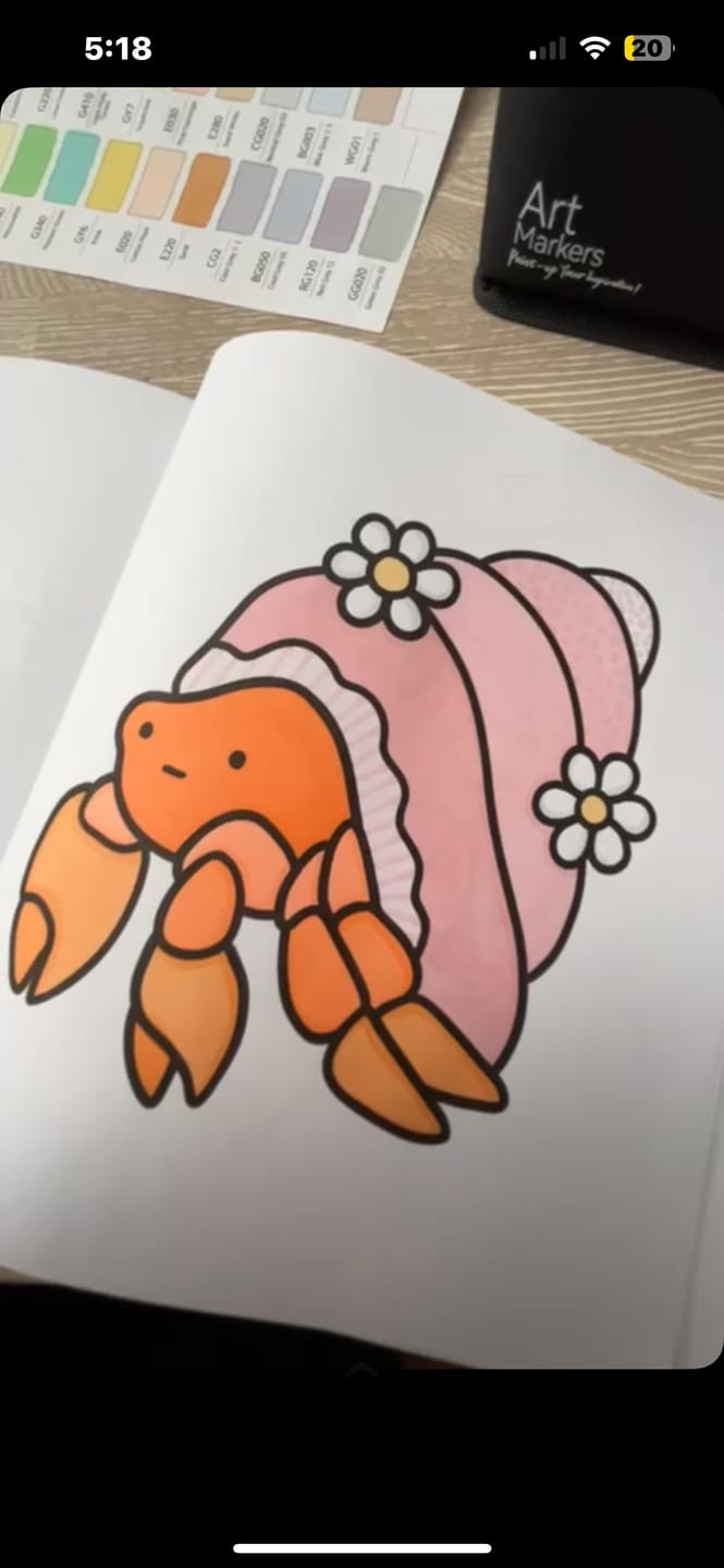 Customer photo review of Ohuhu Honolulu 96 Pastel Colors Alcohol Art Markers - Sweetness & Blossoming (Australia Domestic Shipping)