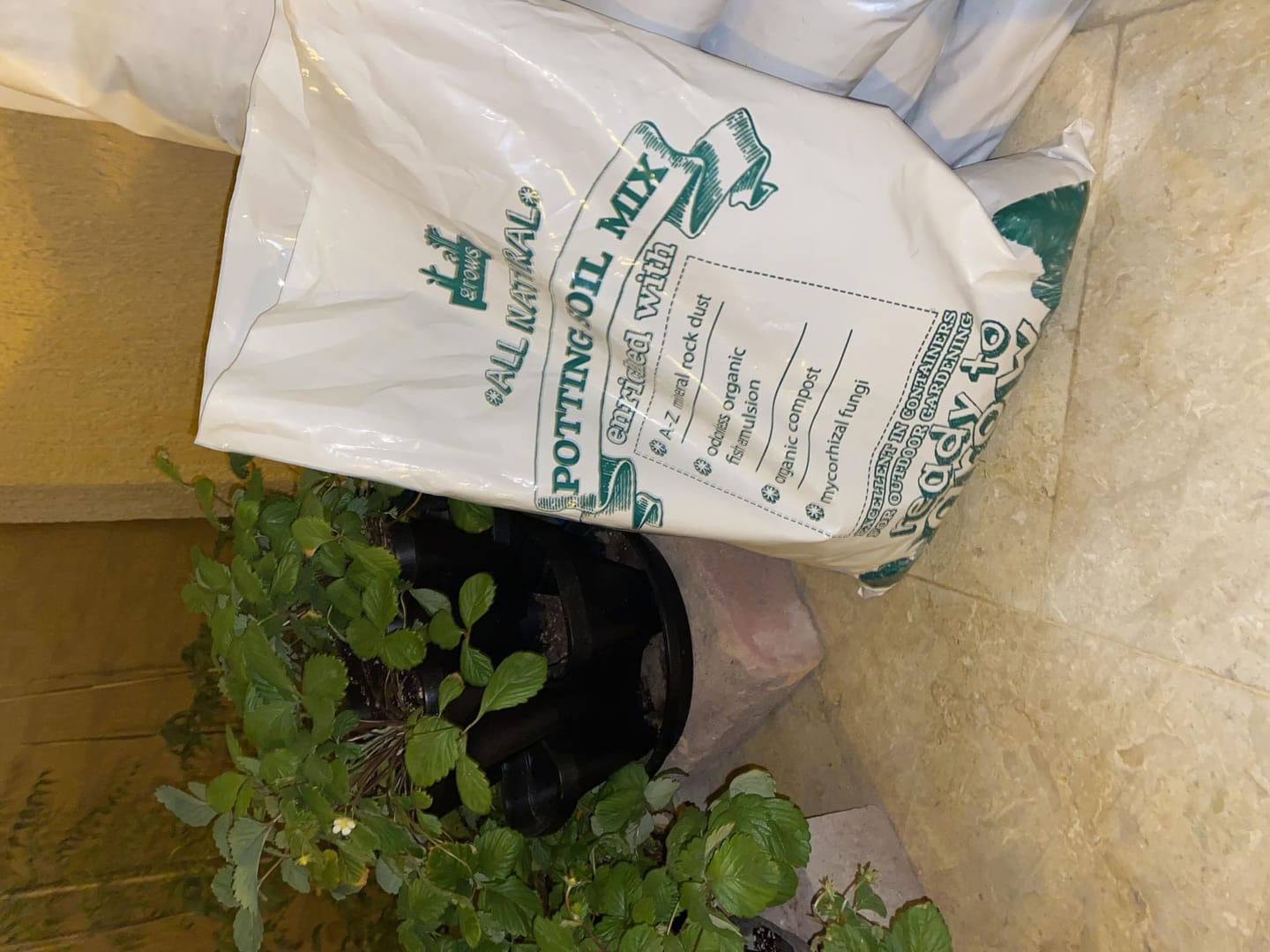 Customer photo review of Potting Soil Mix