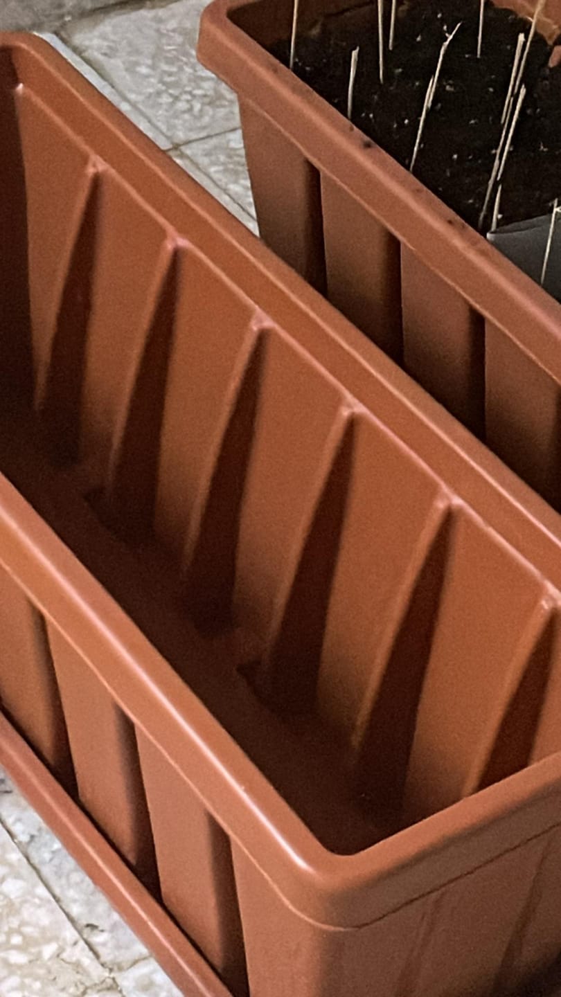 Customer photo review of Potting Soil Mix