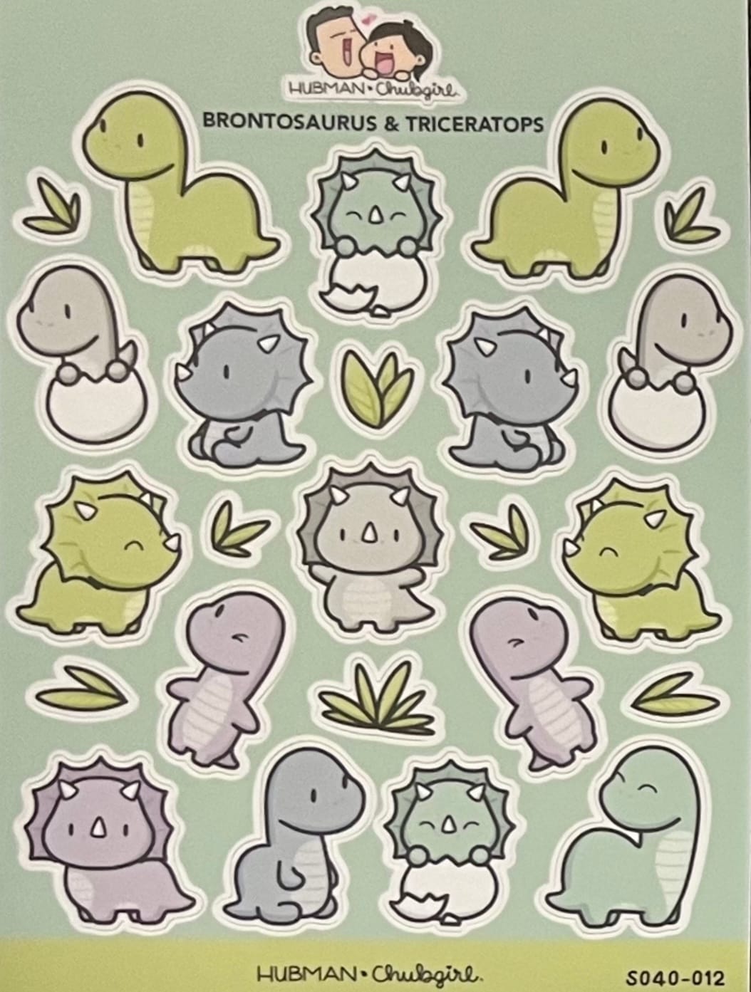 Customer photo review of Sticker Sheet - Brontosaurus & Triceratops