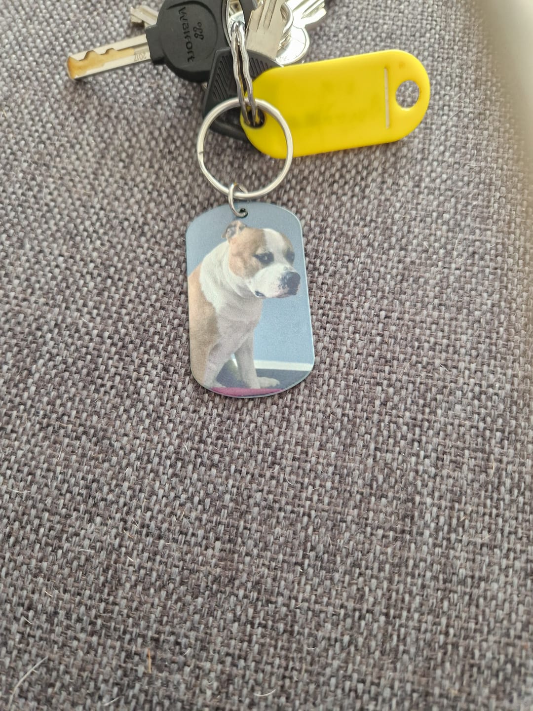 Customer photo review of Voor altijd in mijn hart  - Gepersonaliseerde Dog Tag Sleutelhanger