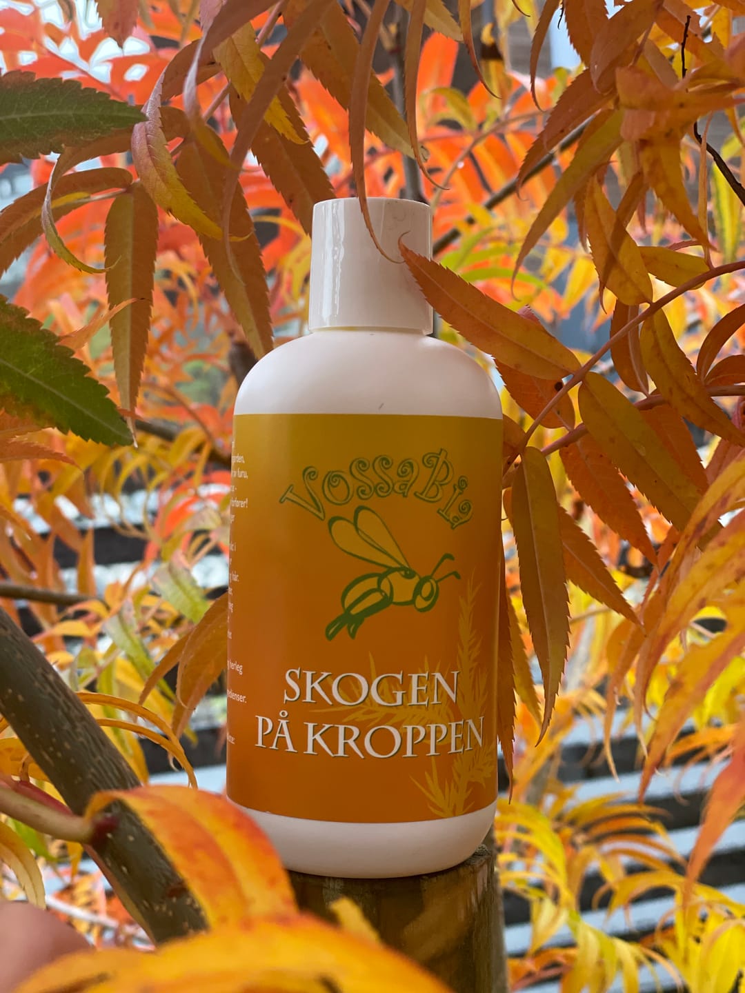 Kundenfoto-Rezension von Body Soap Forest