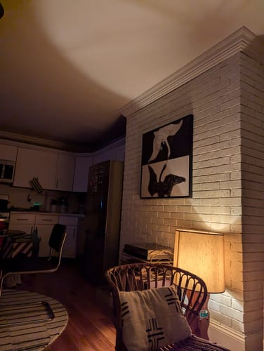 Customer photo review of Group IX/SUW, No. 1, The Swan, No. 1, 1914-1915