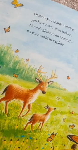 Customer photo review of Our World 10 Storybook Collection