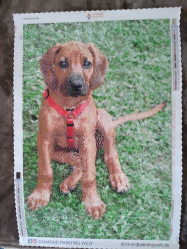 Kundenbewertung mit Foto zu Diamond Painting eigenes Bild