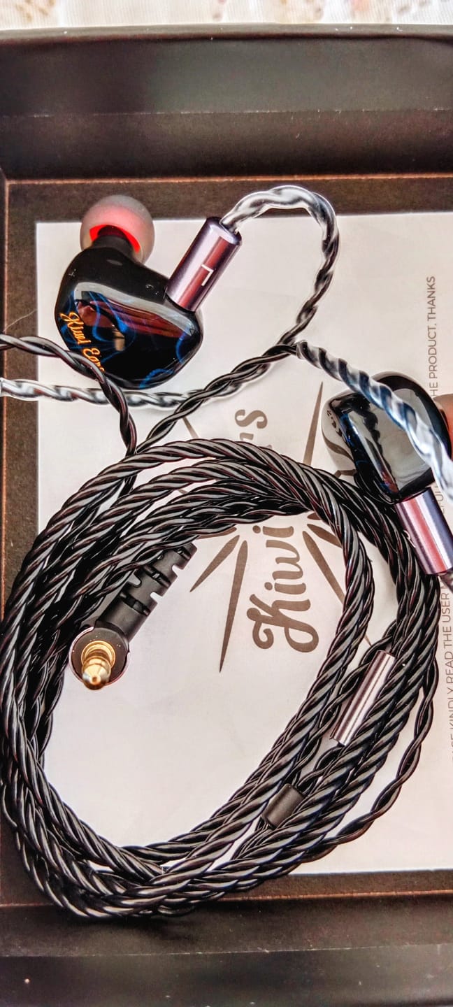 Customer photo review of Kiwi Ears Cadenza IEM Kulaklık