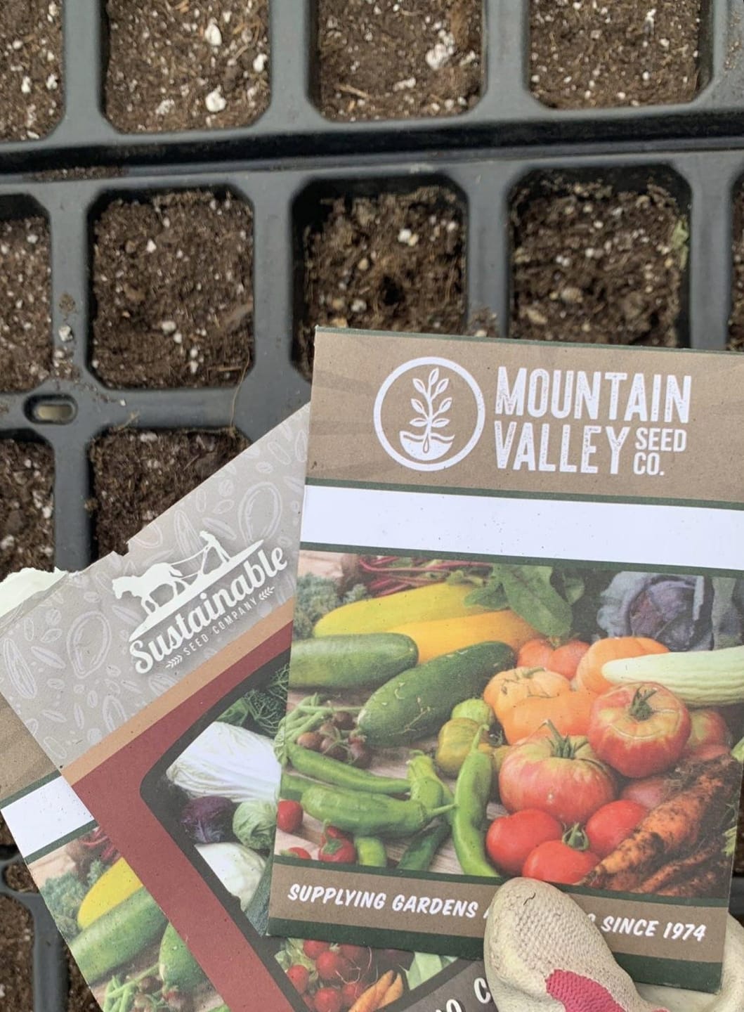 Customer photo review of Potting Soil Mix