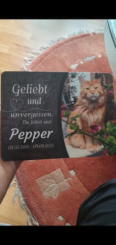 Customer photo review of Katzen Gedenktafel mit Foto & Spruch (UV- & Wetterfest)
