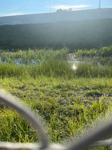 Customer photo review of A8 Pro Max 52V Dual Motor Ebike