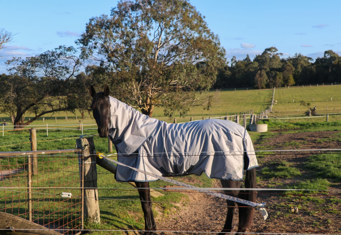 Customer photo review of LE Boxter Turnout Ripstop 50g