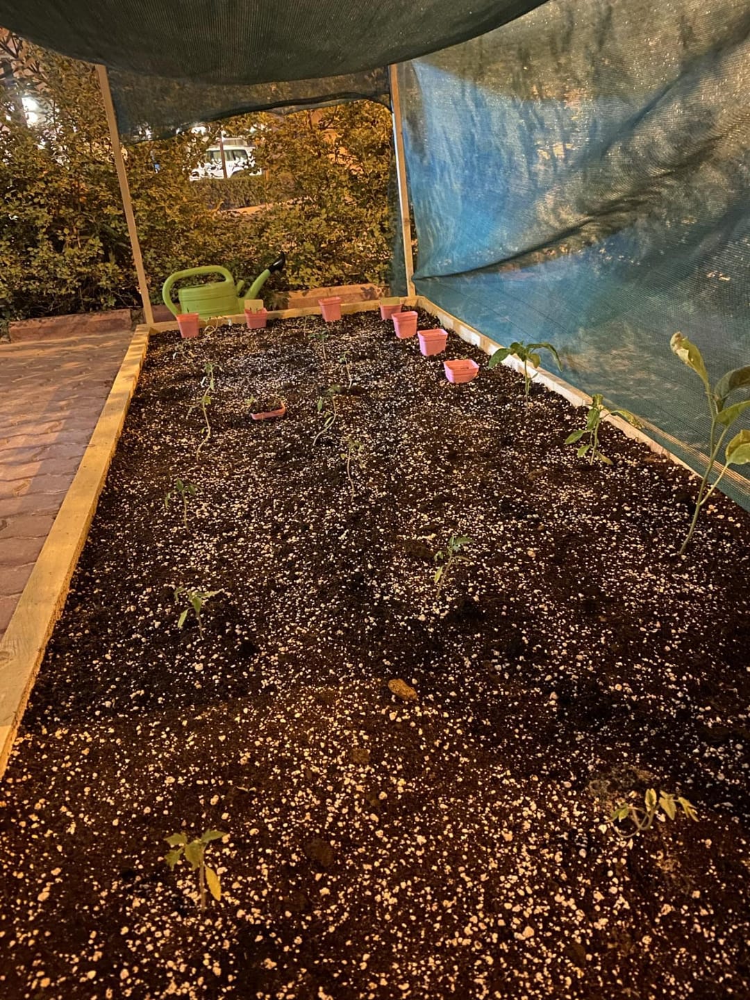Customer photo review of Potting Soil Mix