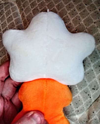 Customer photo review of Adopt a Star Baby Plush Blind Box