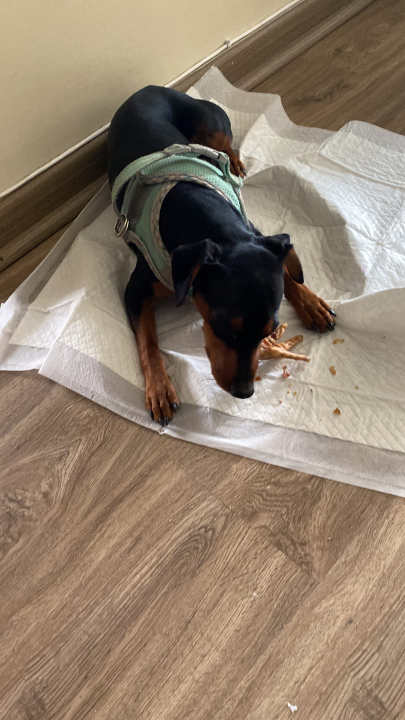 Customer photo review of Lomo de cerdo