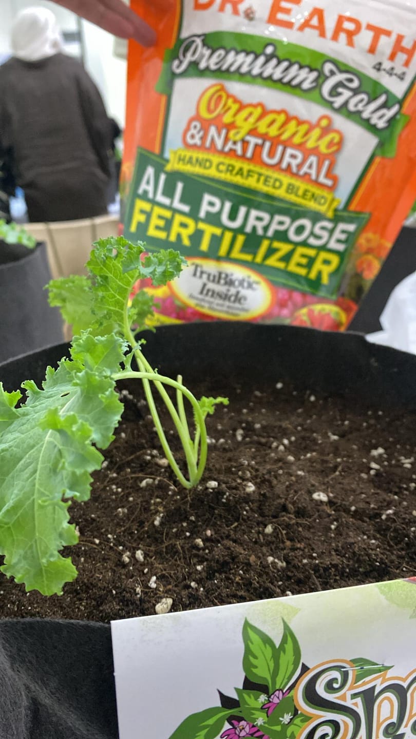 Customer photo review of Potting Soil Mix