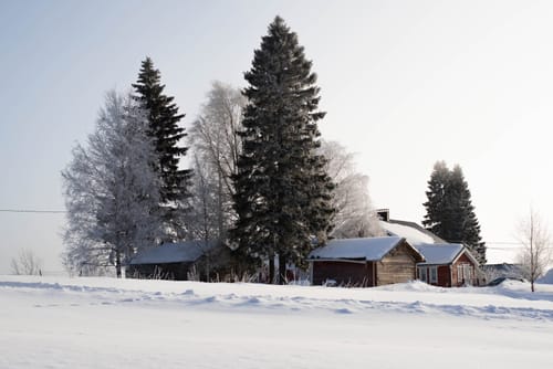 Customer photo review of The Multi-managed Snowboard