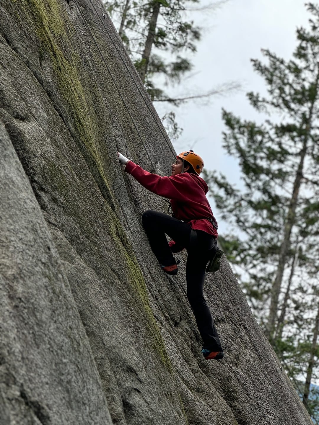 Customer photo review of Crack Climbing Gloves