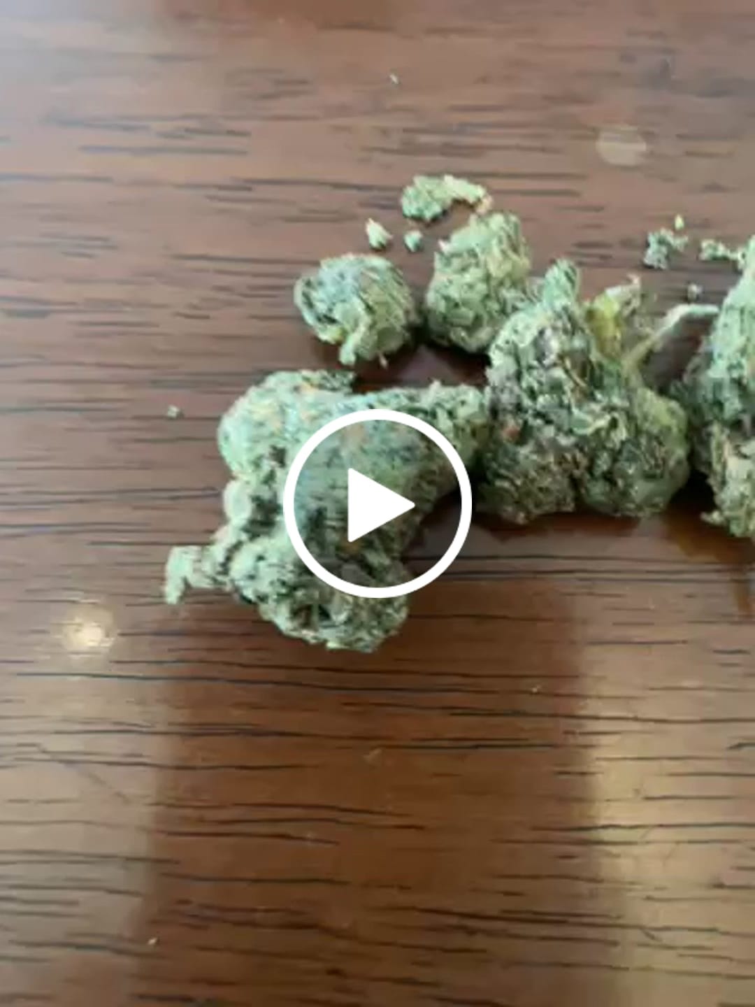 Customer video review of Jealousy - THCa Flower
