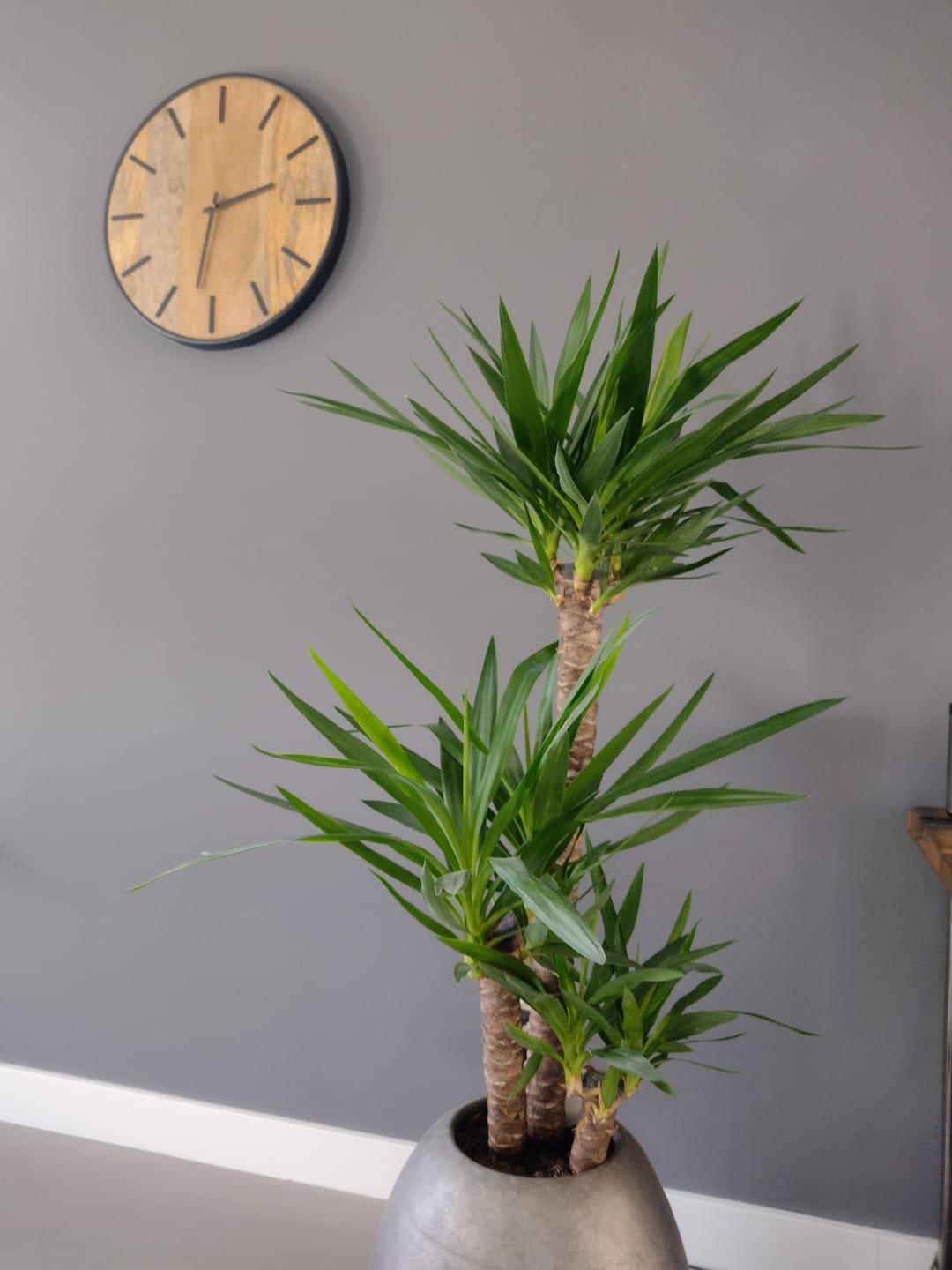 Customer photo review of Klok Wandklok industrieel | Mangohout Staal | ø 50cm