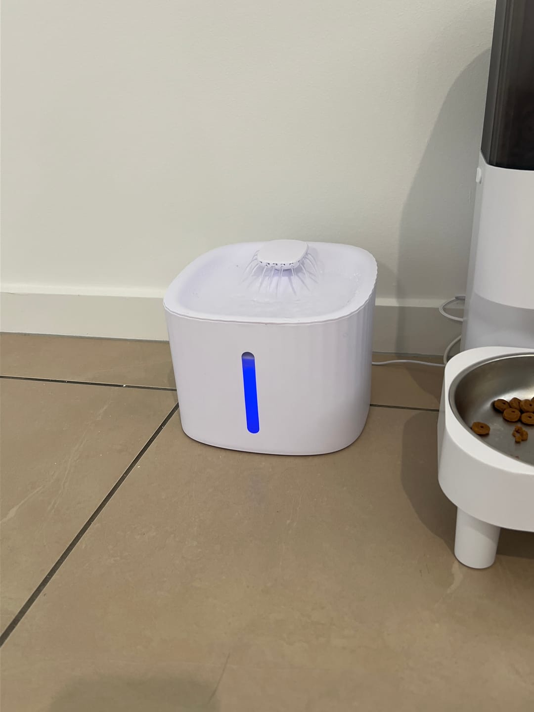Customer photo review of PaWz Automatic Electric Pet Water Fountain Dog Cats Drinking Dispenser Filter 3L