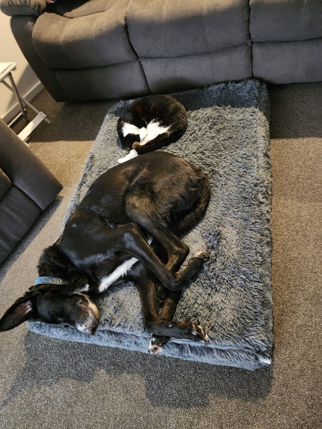 Customer photo review of Brooklyn® Ultra Memory Foam Bed