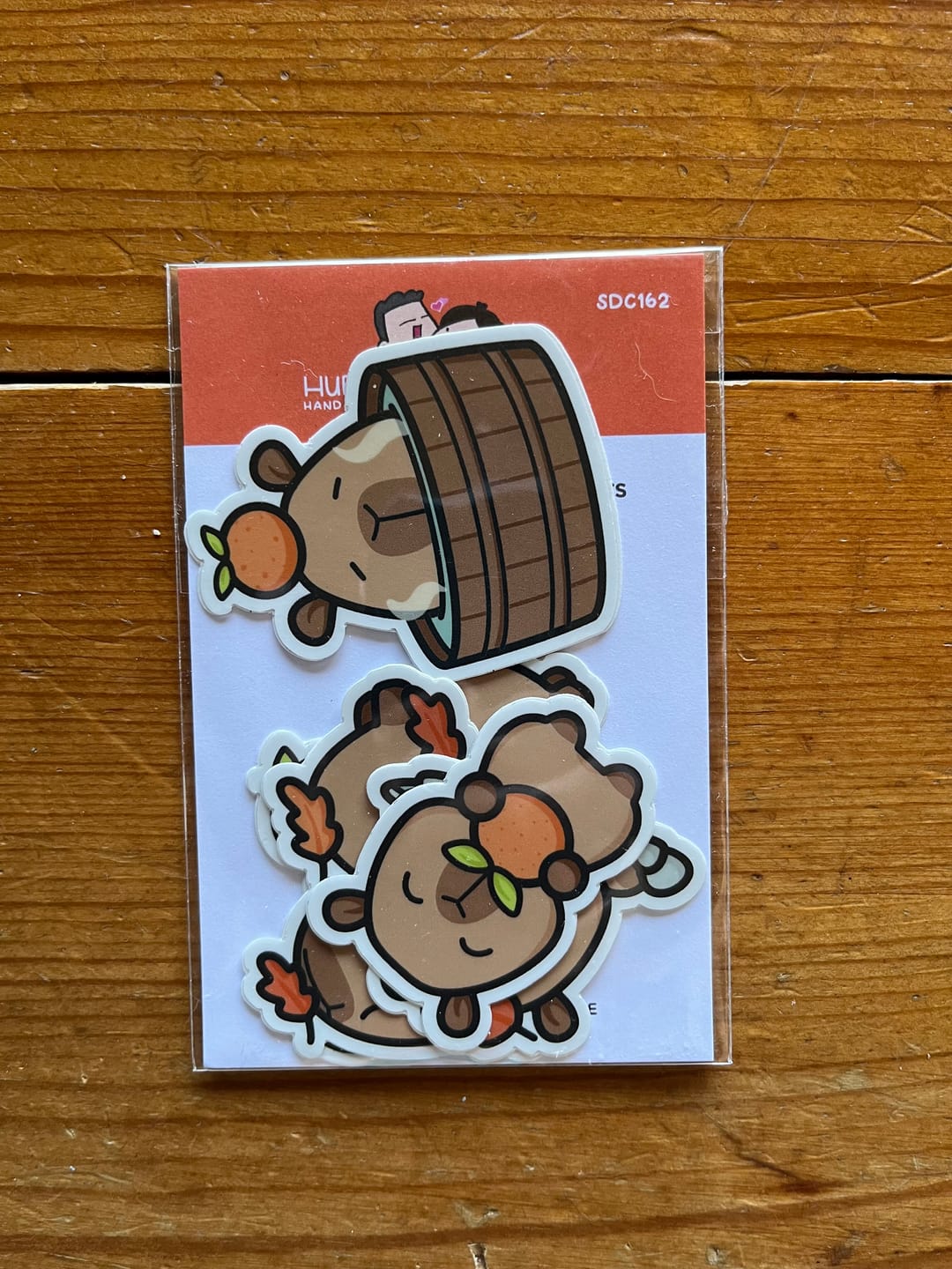 Customer photo review of Autumn Capybaras Die cut stickers