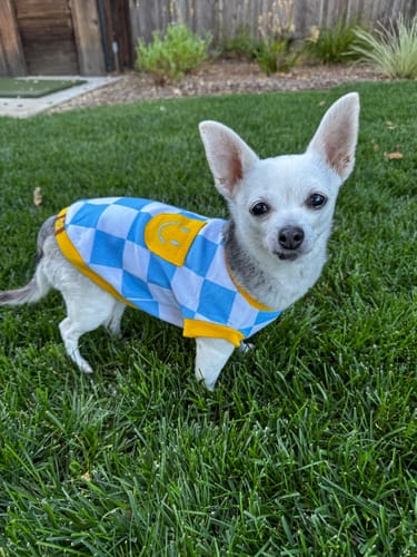 Customer photo review of Dog Cotton Smiley Tee
