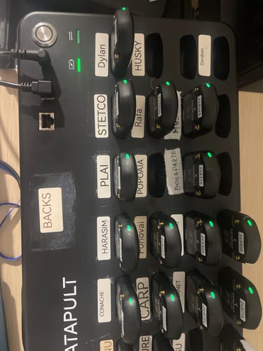 Customer photo review of Seasonal Label for D11, D110, D101