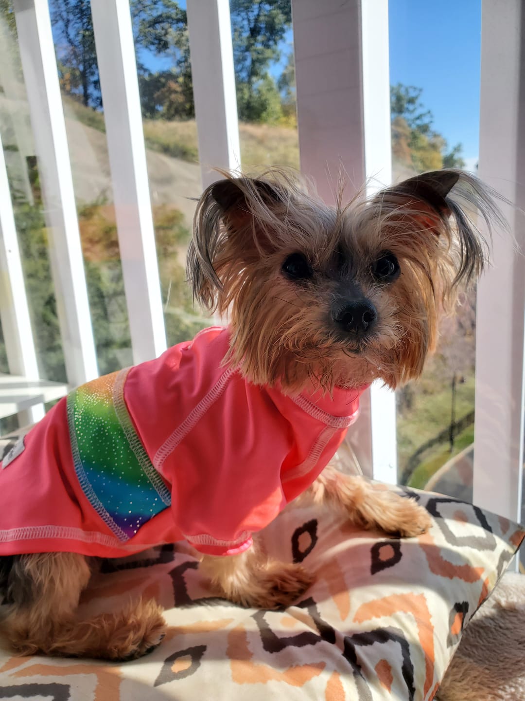 Customer photo review of Cooling UPF 50+ Sun Shirt - Neon Coral Rainbows