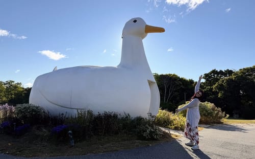 Customer photo review of Semaglutide Weight Loss Program